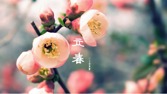 如何加入国家开放大学全国培训体系 喜迎新春第一波机遇